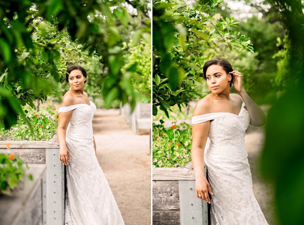 Pharris Photography- Bridal Portraits- McGovern Garden- Houston Bride- Kristin Brown