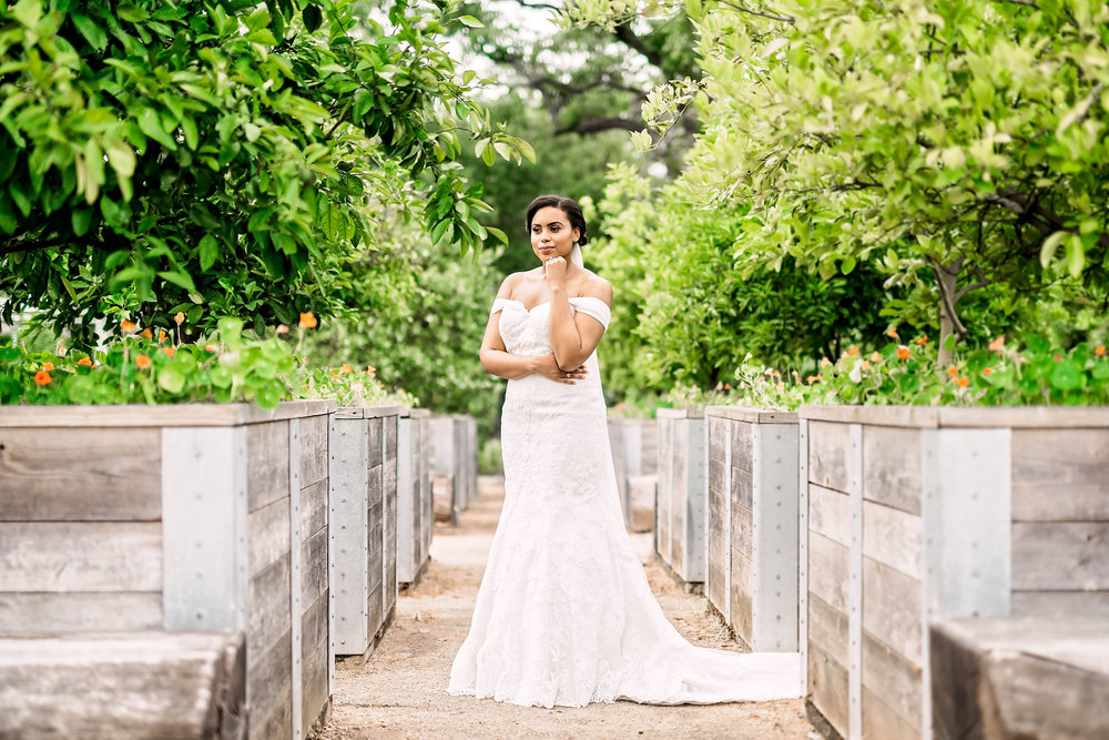 Pharris Photography- Bridal Portraits- McGovern Garden- Houston Bride- Kristin Brown