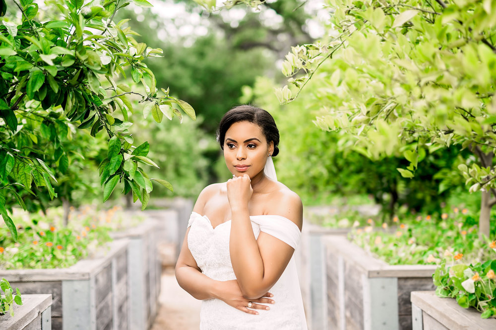 Pharris Photography- Bridal Portraits- McGovern Garden- Houston Bride- Kristin Brown