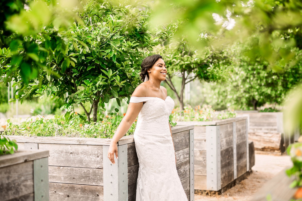 Pharris Photography- Bridal Portraits- McGovern Garden- Houston Bride- Kristin Brown