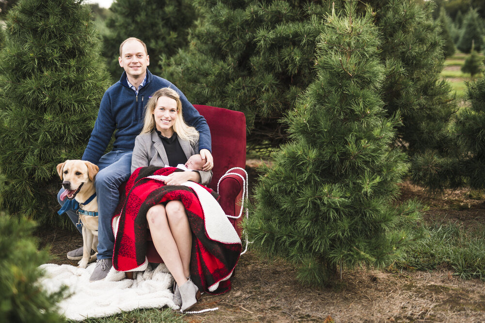 Pharris Photography- Christmas- Mini- Session- Holiday- Family- Portraits- Dallas- Houston