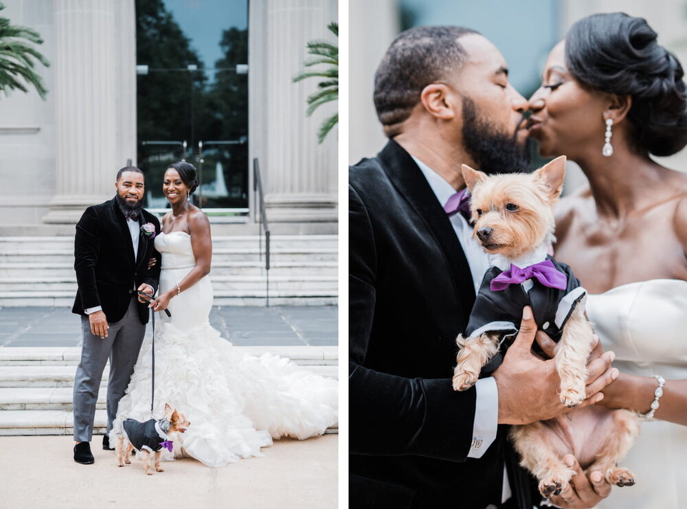 Houston Wedding- Hotel ZaZa- Pharris Photography- Reception- Angie + Charles- The Bride and Groom - Dog 