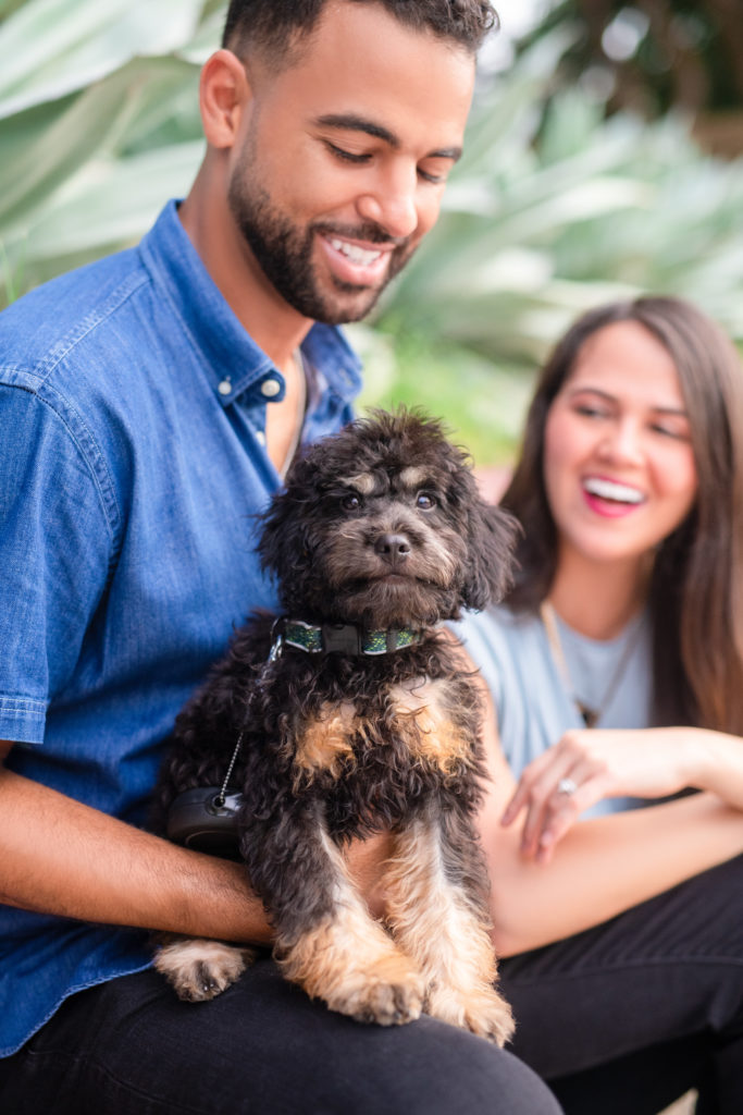adorable dog photo in Austin, TX  family photo session